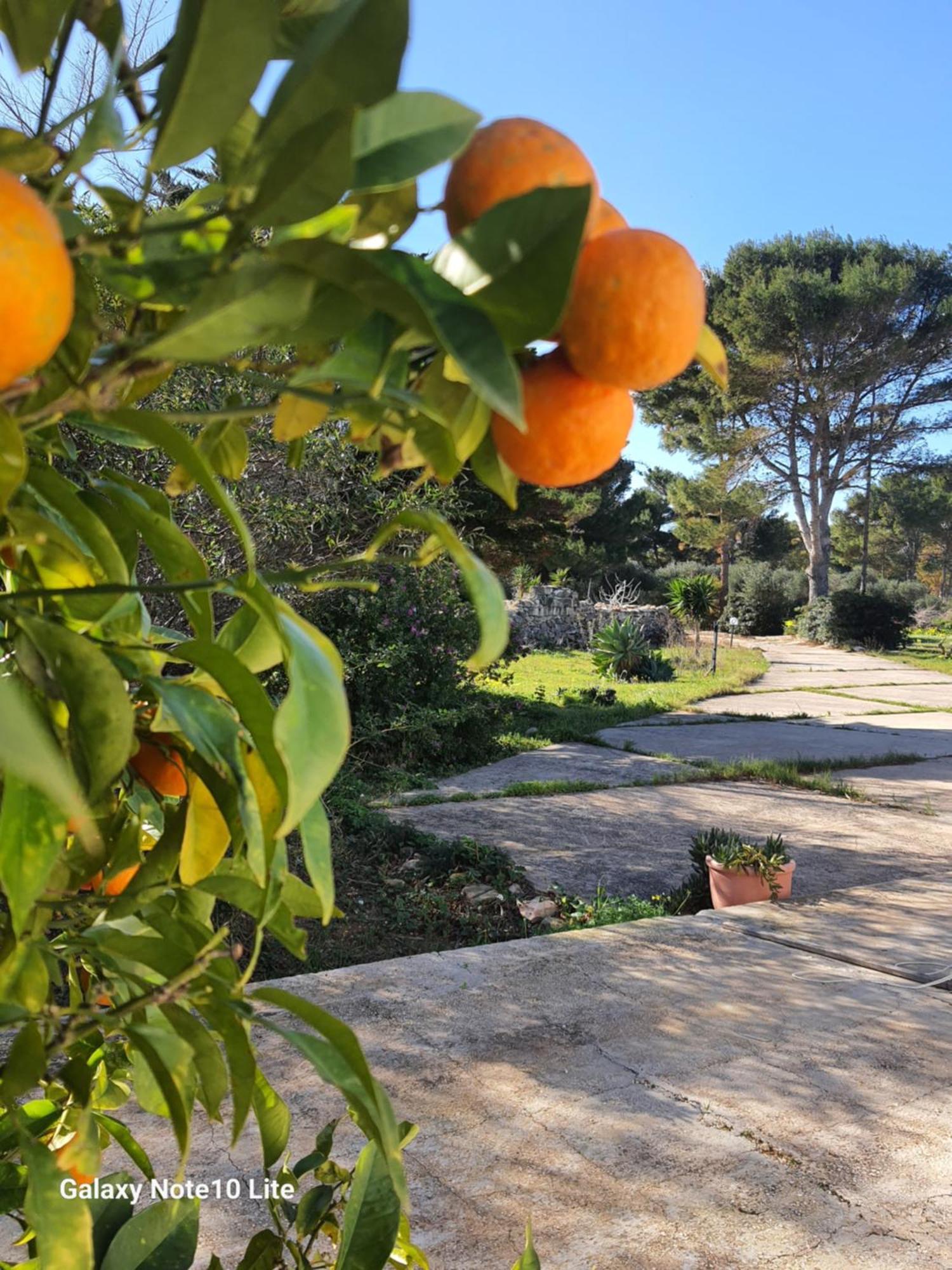 Sogni Nel Blu Favignana Villa Exterior photo
